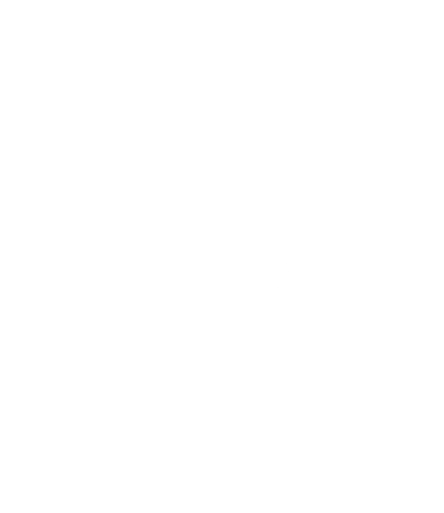 Example Image